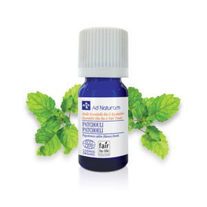 Patchouli huile essentielle BIO et FFL Ad Naturam propriétés et bénéfices