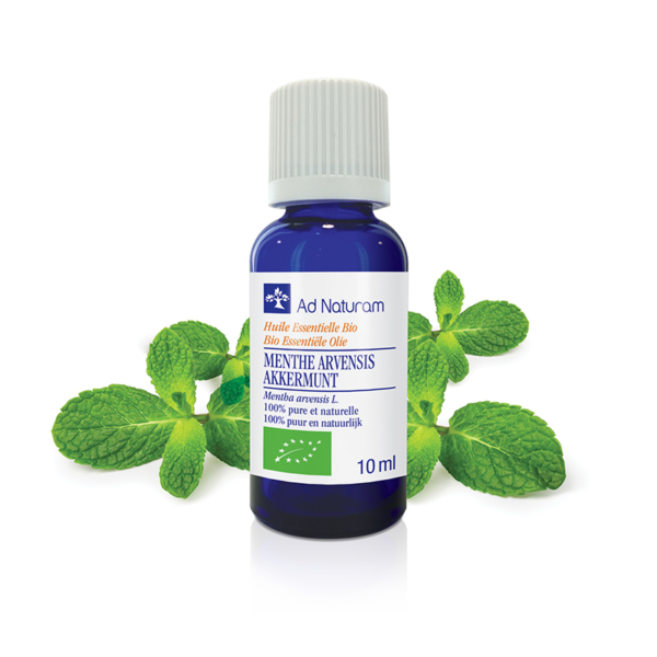 Menthe arvensis Huile essentielle BIO Ad Naturam propriétés et bénéfices