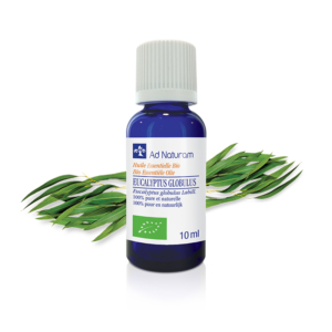 Huile essentielle eucalyptus globulus BIO Ad Naturam propriétés et bénéfices