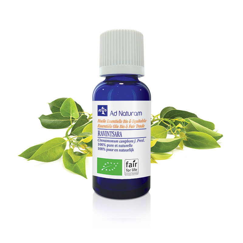 Arbre à Thé (Tea tree) Bio - Huile essentielle 10ml - Ad Naturam