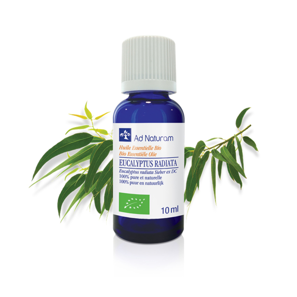 Huile Essentielle d'Eucalyptus Radiata BIO Ad Naturam propriétés et bénéfices