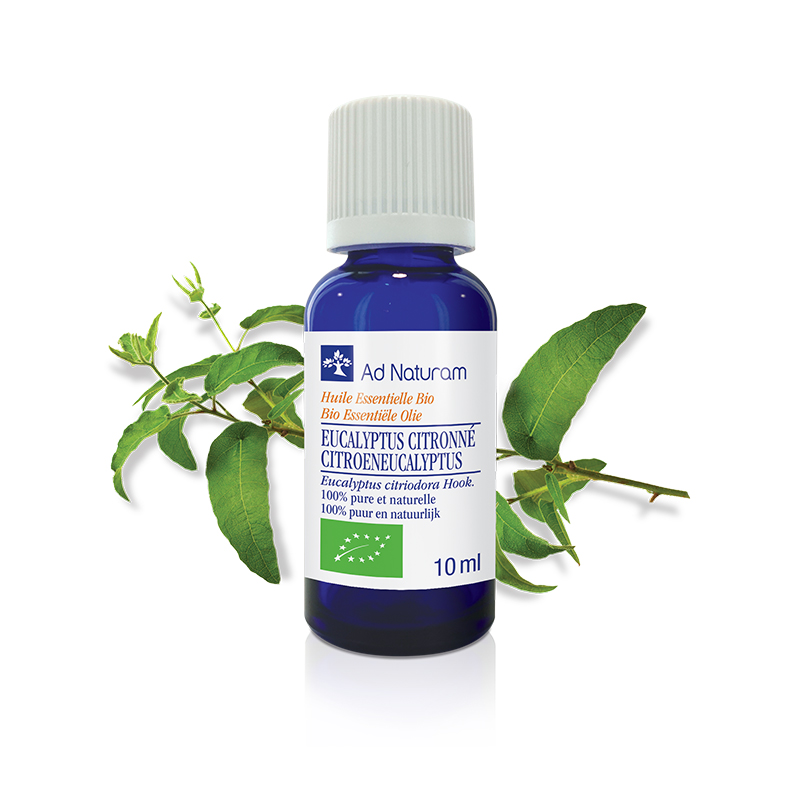 Huile essentielle bio d'Eucalyptus citronne (Eucalyptus citriodora)