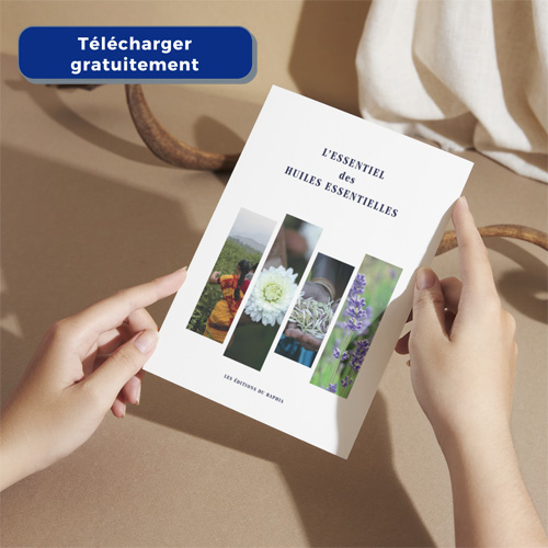Ebook-essentiel