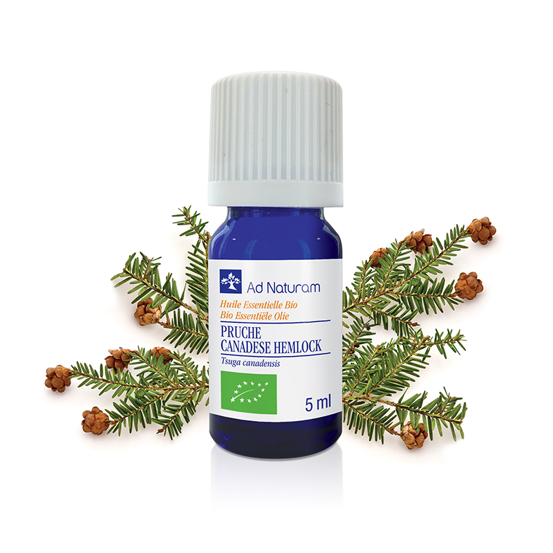 31216_Huile_Essentielle_PRUCHE_5ml